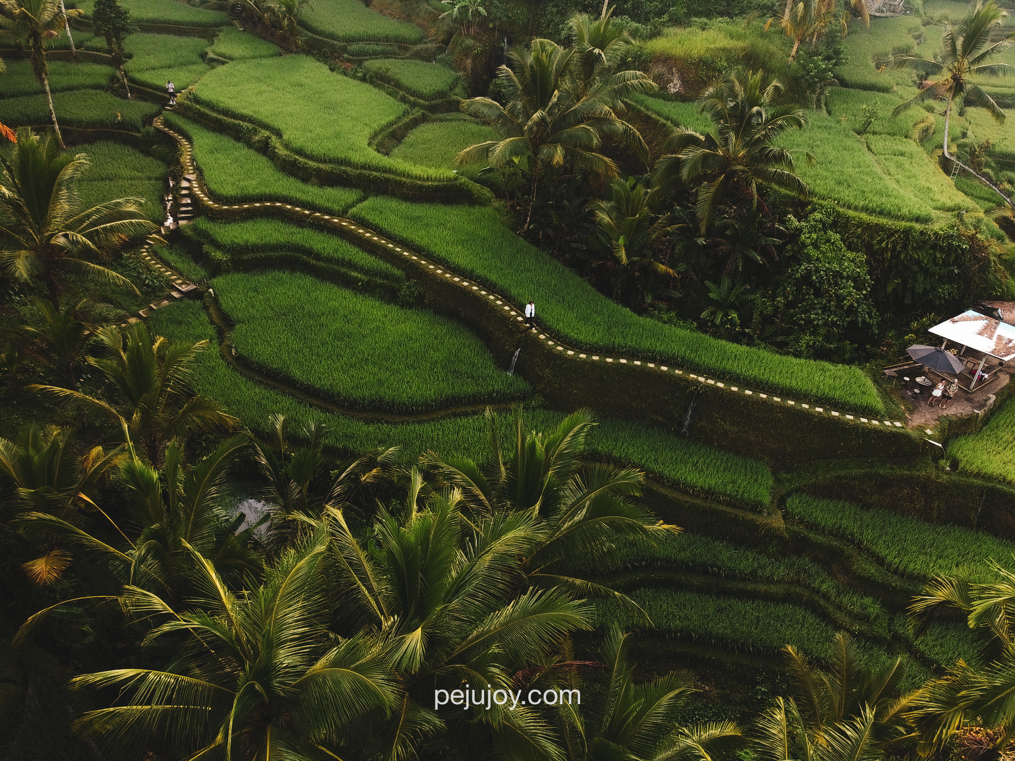 Indonesia